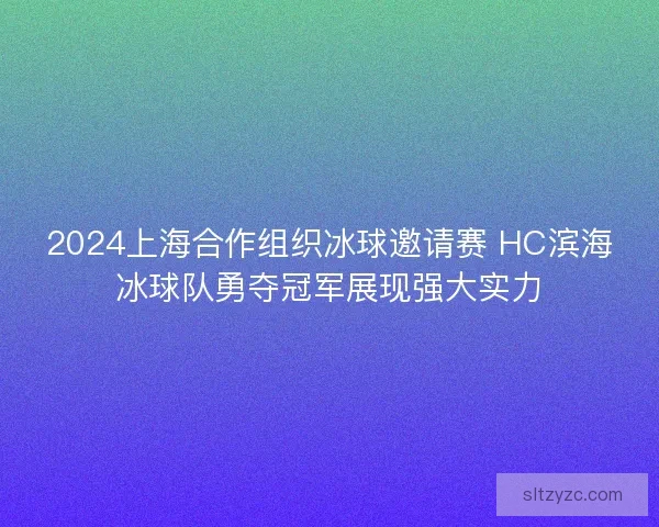 2024上海合作组织冰球邀请赛 HC滨海冰球队勇夺冠军展现强大实力