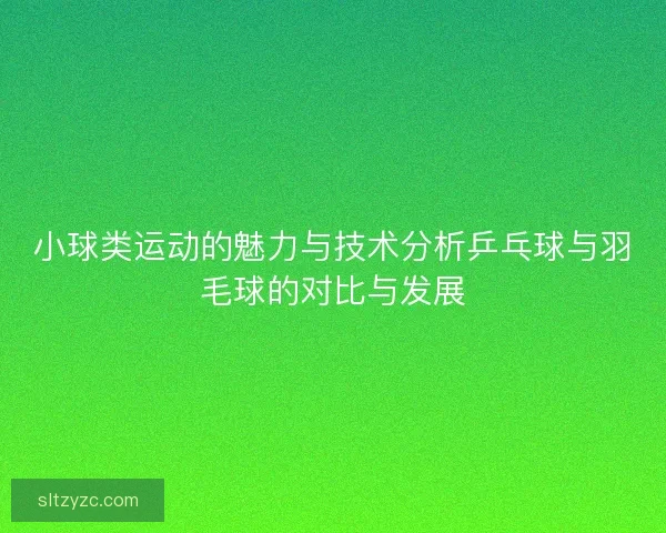 小球类运动的魅力与技术分析乒乓球与羽毛球的对比与发展
